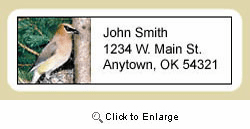 Cedar Waxwing Address Labels