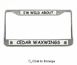 Cedar Waxwing License Plate Frame