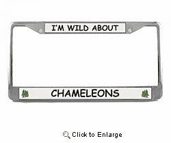 Chameleon License Plate Frame