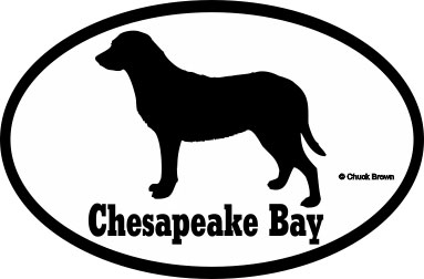 Chesapeake Bay Retriever Bumper Sticker Euro