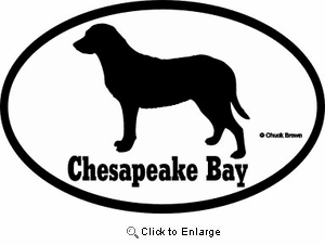 Chesapeake Bay Retriever Bumper Sticker Euro