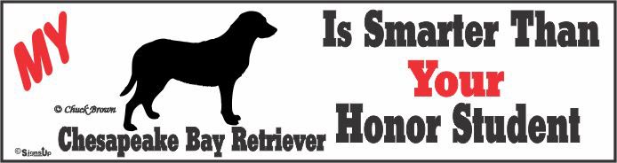 Chesapeake Bay Retriever Bumper Sticker Honor Student