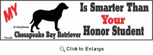 Chesapeake Bay Retriever Bumper Sticker Honor Student