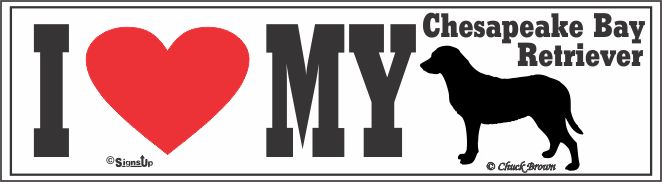 Chesapeake Bay Retriever Bumper Sticker I Love My