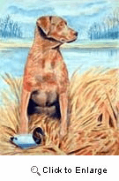 Chesapeake Bay Retriever Garden Flag