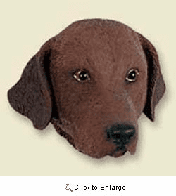 Chesapeake Bay Retriever Magnet
