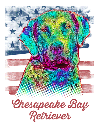 Chesapeake Bay Retriever T Shirt American Flag