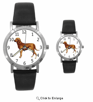 Chesapeake Bay Retriever Watch