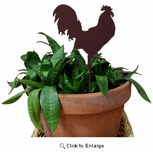 Chicken Plant Stake