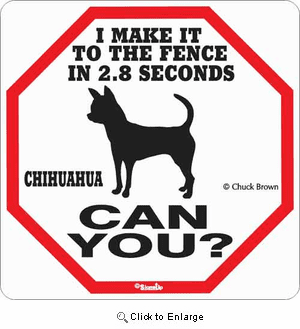 Chihuahua 2.8 Seconds Sign