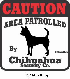 Chihuahua Bumper Sticker Caution