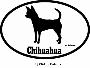 Chihuahua Bumper Sticker Euro