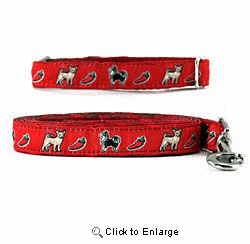 Chihuahua Collar & Leash