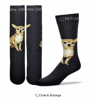 Chihuahua Realistic Socks