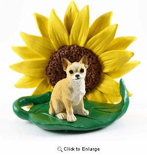 Chihuahua Tan and White sunflower Figurine