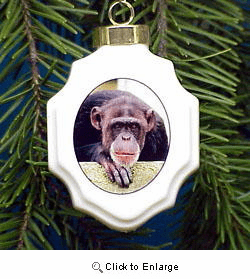 Chimpanzee Christmas Ornament Porcelain