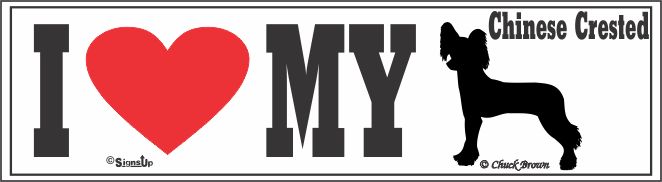 Chinese Crested Bumper Sticker I Love My