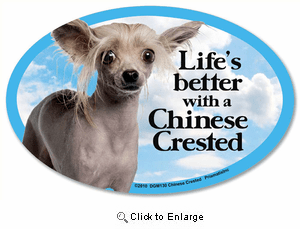 Chinese Crested Car Magnet - Life's Better