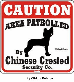 Chinese Crested Caution Sign
