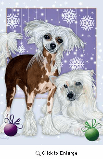 Chinese Crested Christmas Cards
