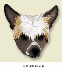 Chinese Crested Magnet