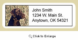 Chocolate Lab Address Labels