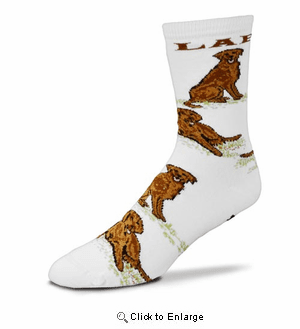 Chocolate Lab All Over Socks