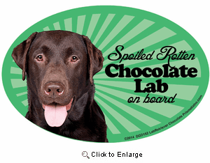 Chocolate Lab Car Magnet - Spoiled Rotten