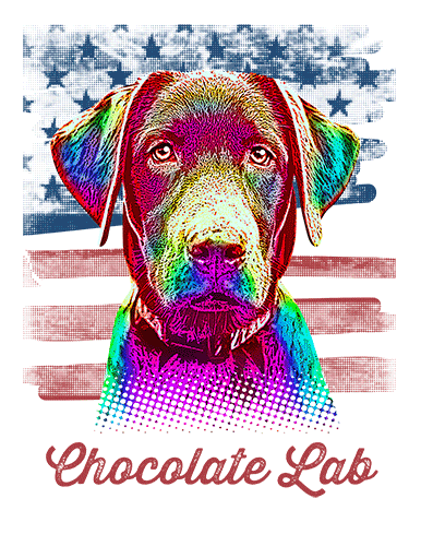 Chocolate Lab T Shirt American Flag