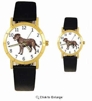 Chocolate Lab Watch