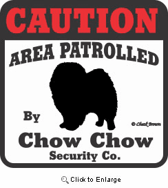 Chow Chow Bumper Sticker Caution