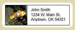 Clownfish Address Labels