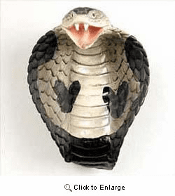 Cobra Magnet