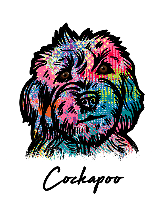 Cockapoo T Shirt Colorful Abstract