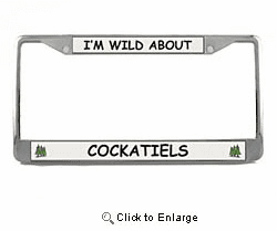 Cockatiel License Plate Frame