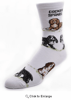 Cocker Spaniel Socks Poses 2