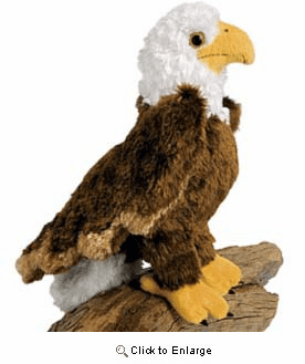 "Colbert"  Eagle Plush 8" By Douglas Toy