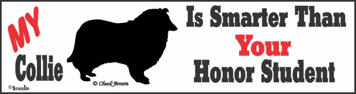 Collie Bumper Sticker Honor Student