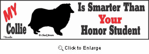 Collie Bumper Sticker Honor Student