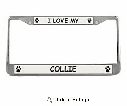 Collie License Plate Frame