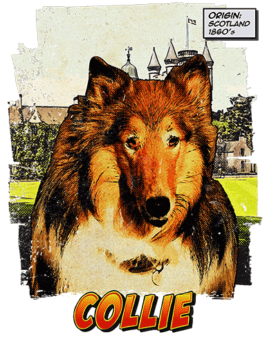 Collie T-Shirt Ancestry