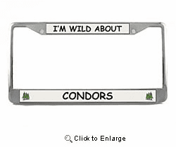 Condor License Plate Frame