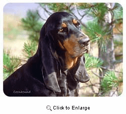 Coonhound Coasters