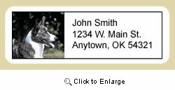 Corgi Address Labels - Cardigan