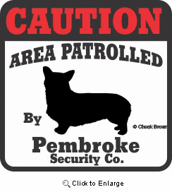 Corgi Bumper Sticker Caution