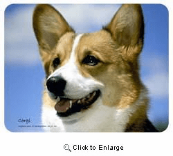 Corgi Coasters