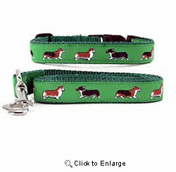 Corgi Collar & Leash