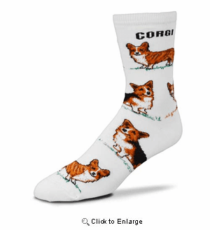 Corgi Poses Socks