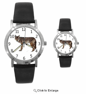 Coyote Watch