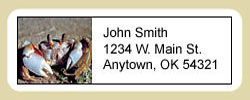 Crab Address Labels
